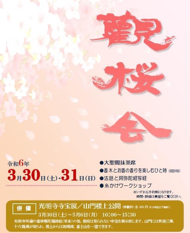 観桜会～糸かけワークショップ～【イベント案内】