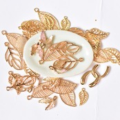 【特選】こだわりの材料をご紹介　2024年5月20日号