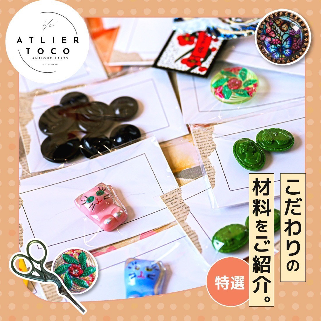 【特選】こだわりの材料をご紹介 2024年7月8日号