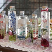 【特選】こだわりの材料をご紹介　2024年6月3日号