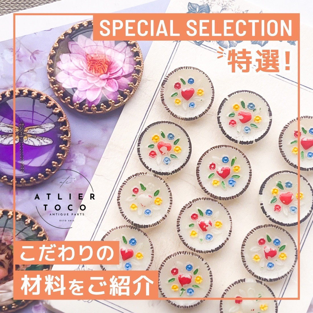 【特選】こだわりの材料をご紹介　2025年7月7日号