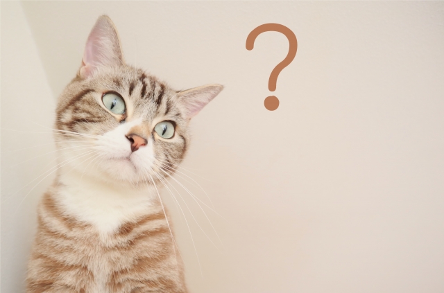 犬や猫以外の動物モチーフから考える、知っておきたい動物たちのこと